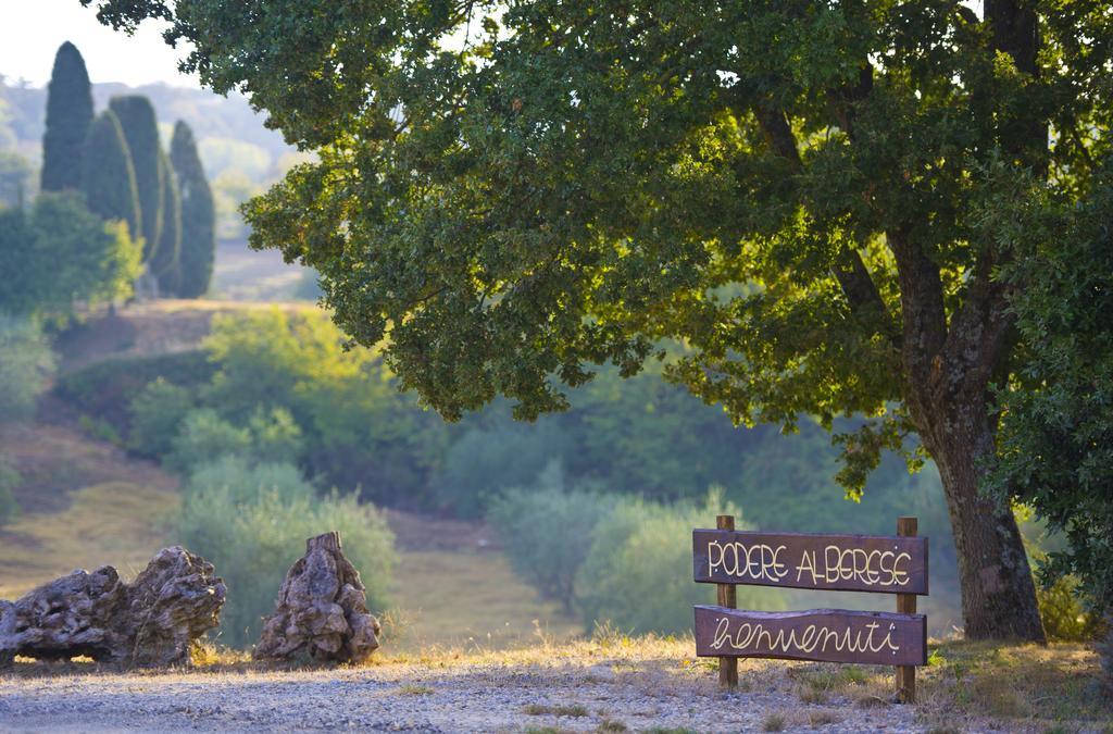 Agriturismo Podere Alberese Asciano Εξωτερικό φωτογραφία