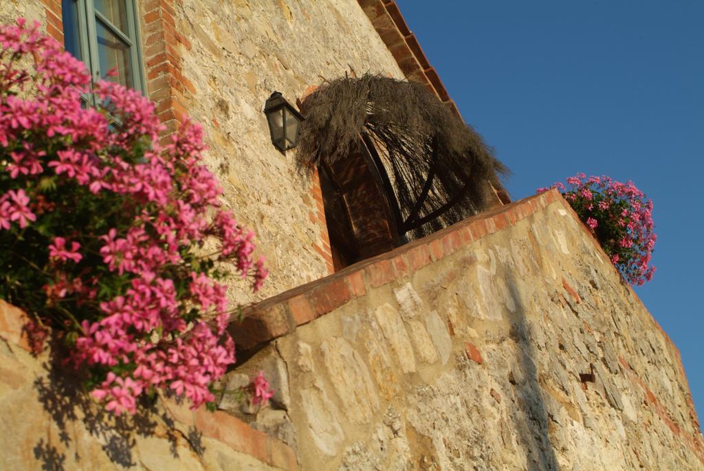 Agriturismo Podere Alberese Asciano Εξωτερικό φωτογραφία